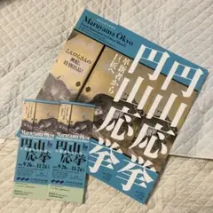 円山応挙展 チケット 2枚