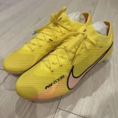 NikeZoomMercurialVapor15 ProFG26.0cm