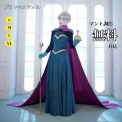 アナ雪エルサ仮装❄️大人用Sサイズ