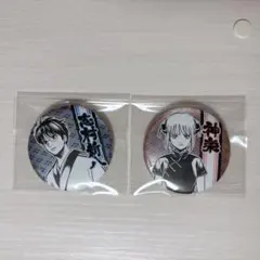 銀魂 デコレクション缶バッジ デコレ缶 志村新八 神楽