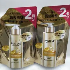 ２個セット【新品未開封】PANTENE エクストラダメージリペア 250mlのサムネイル