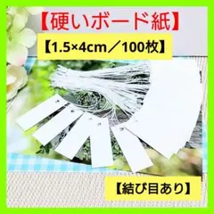 Item thumbnail for item b630b31a-c04f-4c97-bf0f-9ea16de5758a