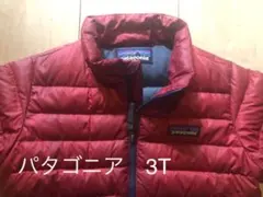 Patagonia  パタゴニア キッズ　ダウンジャケット　アウター　3T