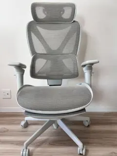 COFO Chair Pro 2