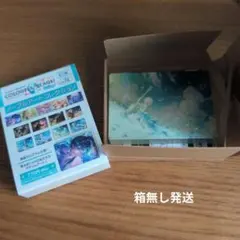 さ*か様 プロセカ 初音ミク ノーブルアート 志歩 74 - メルカリ