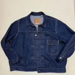 tバック デニムジャケット