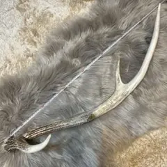 鹿の角 約71cm インテリア小物　J