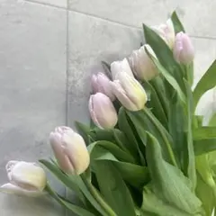 ぴろちゃん様 リクエスト 2点 まとめ商品