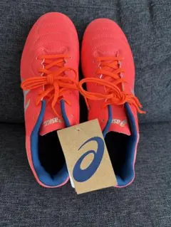 【新品未使用】ASICS ジュニアDS LIGHT GS 24.5