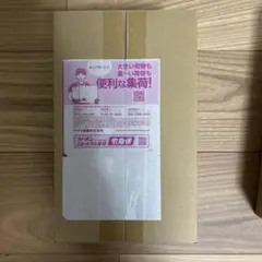 【新品未開封】ポケモンセンター フクオカ スペシャルボックス