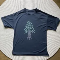 ザノースフェィス ダークブルー レディースSサイズ