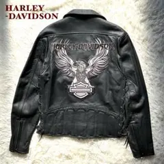 2026年最新】Harley-Davidson メンズ レザージャケット・ライダースの