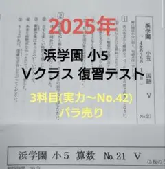2026年最新】浜学園 復習テスト 小5の人気アイテム - メルカリ