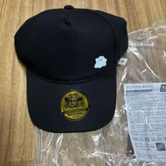 ぽこあポケモン　特典　エディオン　キャップ