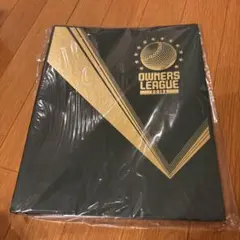 【非売品】オーナーズリーグ2013 記念グッズ