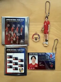 バレーボール男子日本代表　山内晶大選手　アクリルキーホルダー、カードキーホルダー