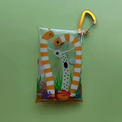 チンアナゴ