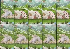 メイドインアビス ナナチ Relax time フィギュア 10個セットのサムネイル