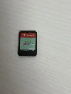 あつまれ どうぶつの森 Nintendo Switch（ケースなし