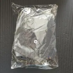 水着 セパレート シースルー XL 3点セット