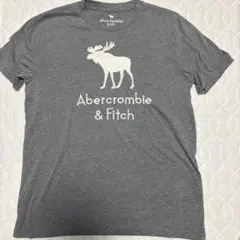 Abercrombie Kids Tシャツ 15/16 グレー