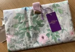 Item thumbnail for item 52f2529d-5bc4-47ca-a85e-2e7a161ee128