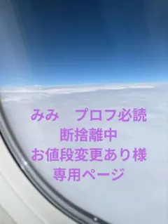 みみ　プロフ必読断捨離中お値段変更あり様専用ページ