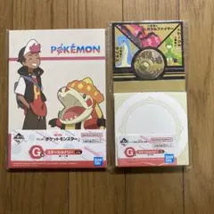 アニメ　ポケットモンスター　一番くじ　アニポケ　G賞 ロイ　アチゲータ　六英雄