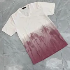 Men's Bigi Tシャツ Vネック グラデーション パームツリー柄 白×赤