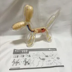 4d master フォーディーマスター バルーンドッグ　スケルトン　ピンク 4dマスタービジョンおもちゃ、透明なアセンブリバルーンドッグ、解剖学