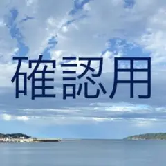 確認用