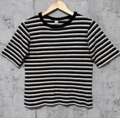 【CITEN】シテン ストレッチ ワッフルボーダー コンパクトTシャツ Fのサムネイル
