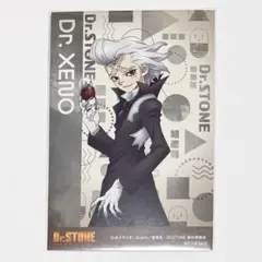 Dr.STONE 科学王国事典 公式ファンブック - メルカリ