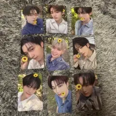 ZEROBASEONE MUSICKOREA ヨントン トレカ 9枚セット