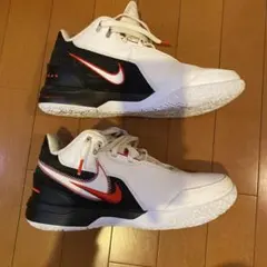 Nike FIRST GAME レブロン　ネクストジェン　バスケットシューズ