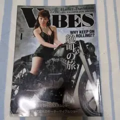 VIBES バイブス 2014年1月号 雑誌 ハーレー