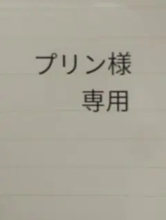 プリン様専用　フェイラーバッグ