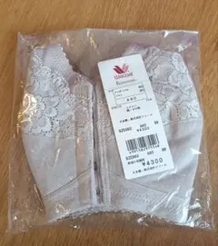 Item thumbnail for item 24117017-7f53-495f-9956-17e989418a2c