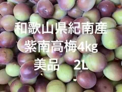 和歌山県産 南高梅 4L 3L混合 4キロ（箱込み） - メルカリ