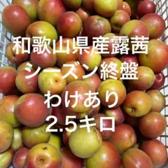 露茜 MSサイズ 2kg 和歌山県産 梅酒 シロップ ジャム - メルカリ
