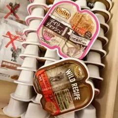 Item thumbnail for item 5de58c09-8deb-47eb-abf0-0ba95d9a64bd