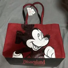 トートバッグ　Disney land resort