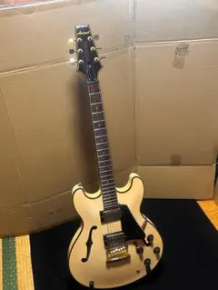 Epiphone DOT studio DG Alpine white レア色 - メルカリ