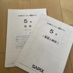 2026年最新】sapix マンスリーテスト 6年の人気アイテム - メルカリ