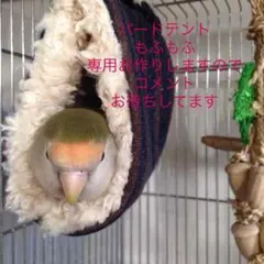 バードテント もふもふ　インコ