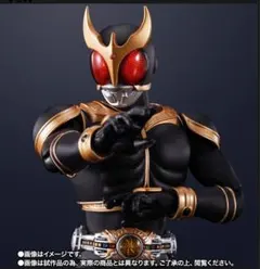 S.H.Figuarts 仮面ライダークウガアメイジングマイティ 真骨彫10th