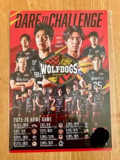 WOLF DOGS NAGOYA 下敷き