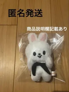 2026年最新】StrayKids skzoo マグネットキーリングの人気アイテム