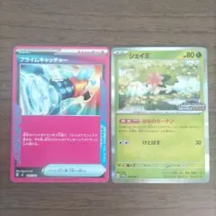 シェイミCL2026 & プライムキャッチャー ノーマル仕様