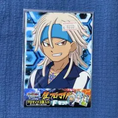 2026年最新】イナダンの人気アイテム - メルカリ